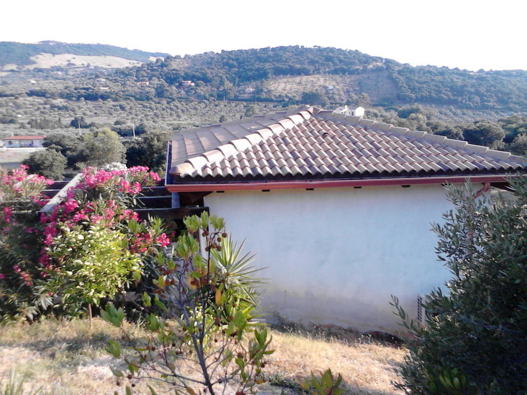 Affittacamere Valverde Di Naitana Rita アルゲーロ 部屋 写真